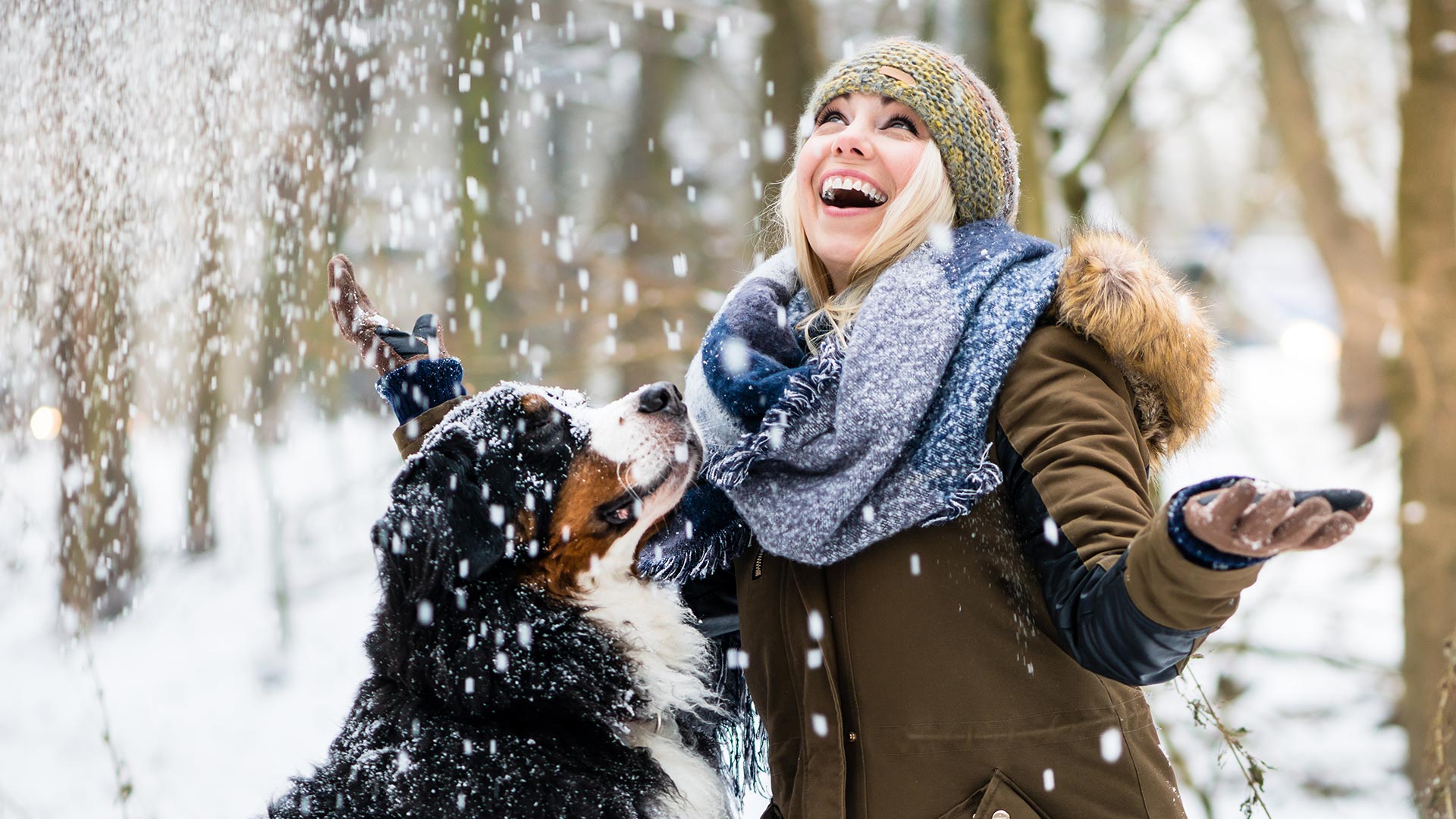 Lachende Frau spielt gemeinsam mit einem Berner Sennenhund im verschneiten Winterwald.